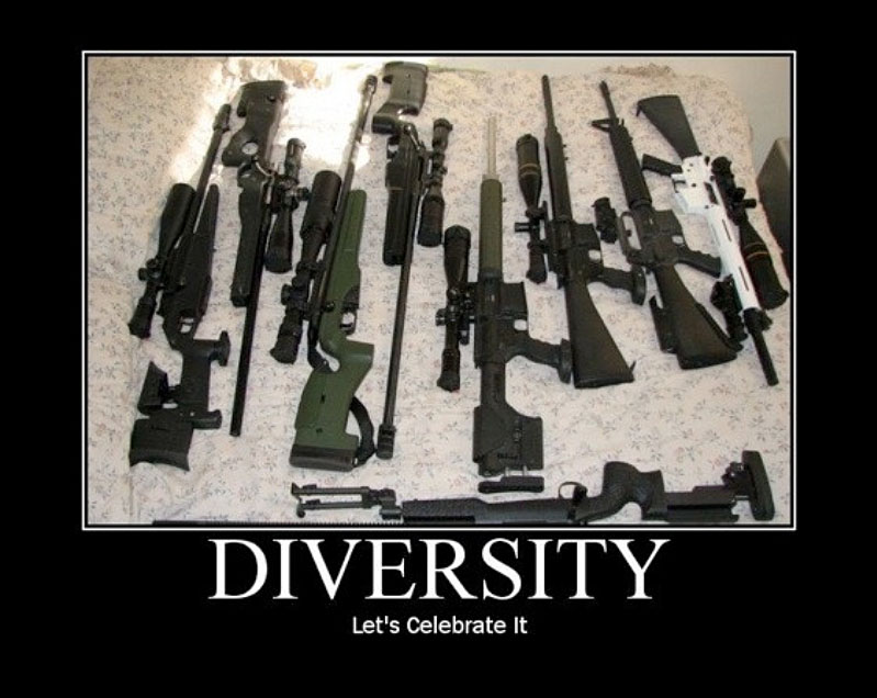 Diversity Funny Gun Poster.