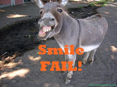 Donkey Smile Fail Funny Picture