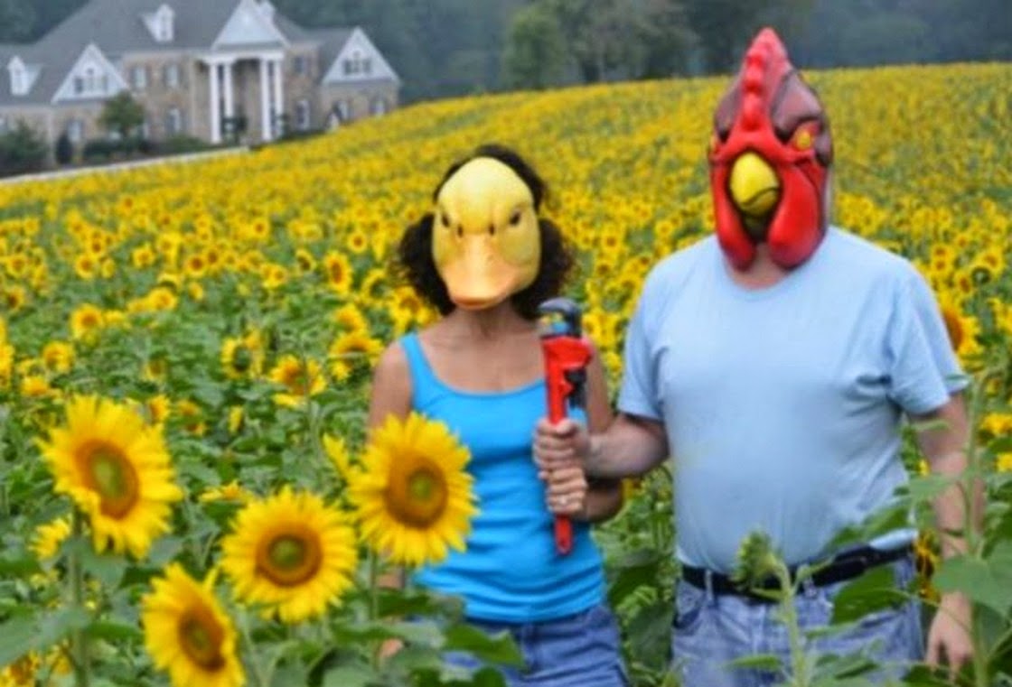 Duck And Cock Mask Funny Couple Image