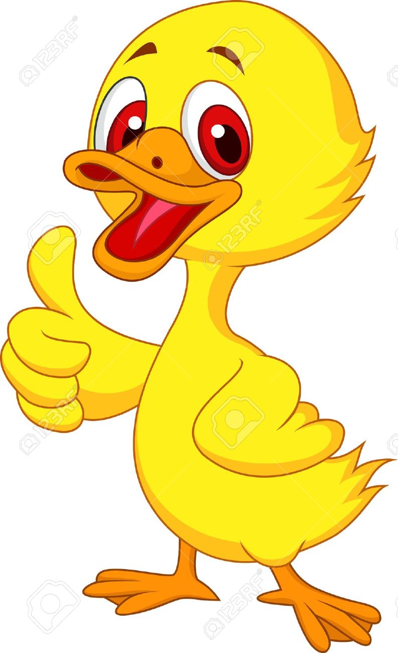 Duck Cartoon Thumbs Up Funny Picture