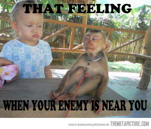 Funny Blonde Baby Girl Monkey Enemy Picture