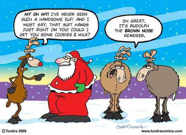 Funny Brown Nose Reindeer