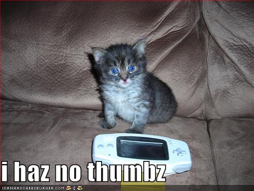 Funny Cat Say I Haz No Thumbz Funny Picture