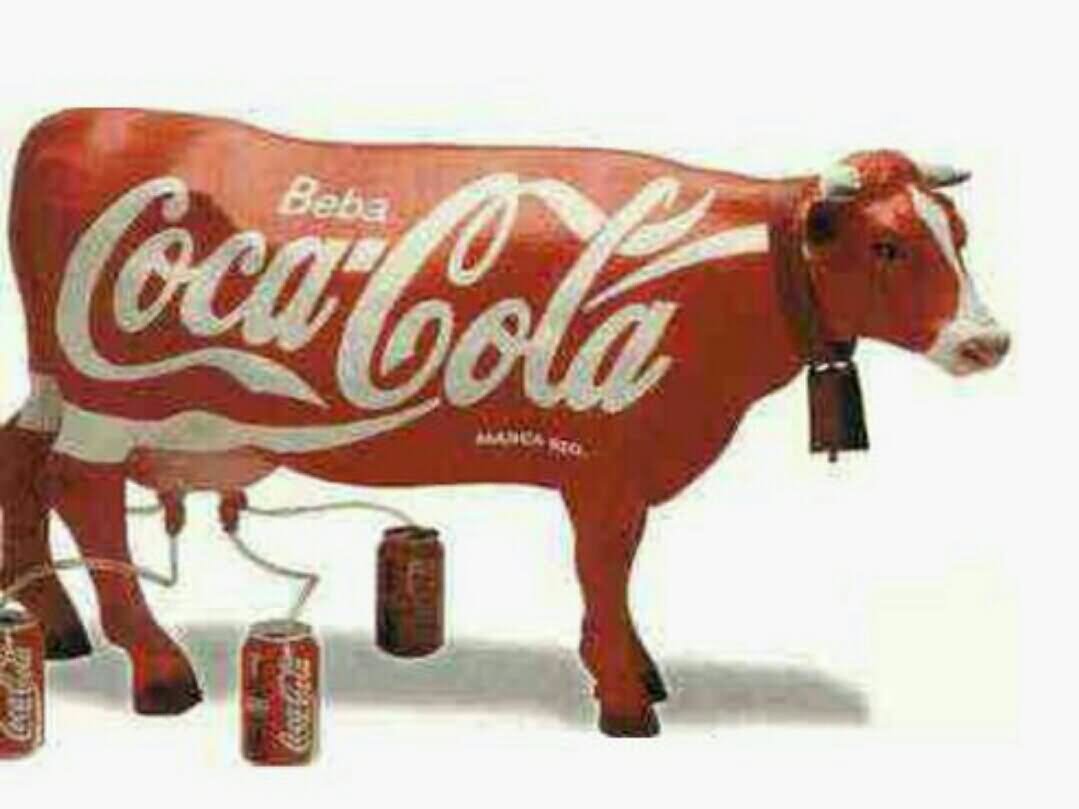 Funny Coca Cola Painted Cow Picture