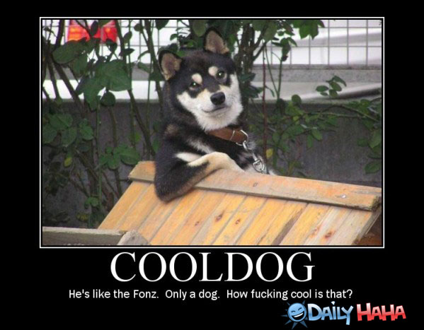 Funny Cool Dog Poster