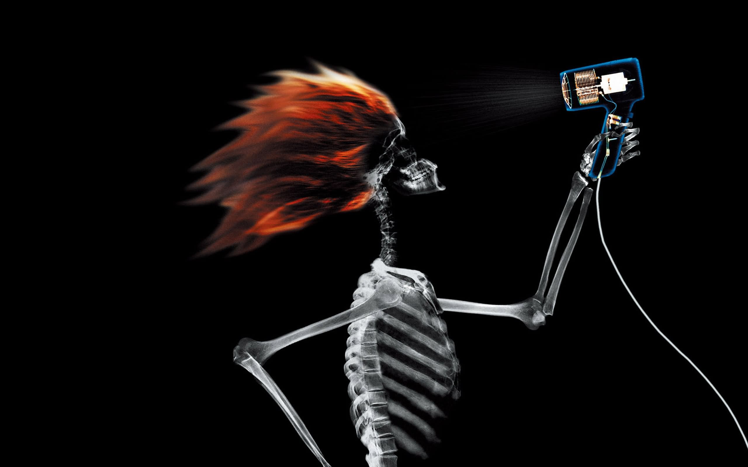 Funny Cool Skeleton Using Hair Drier