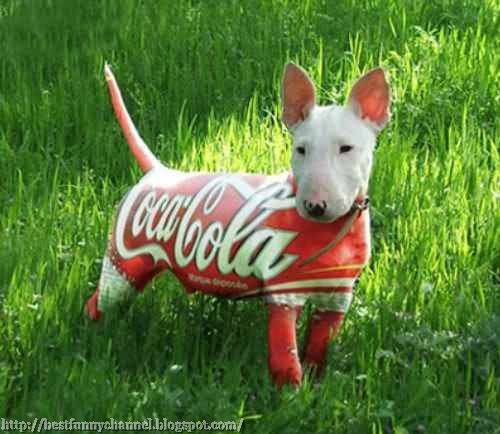 Funny Dog Coca Cola Image