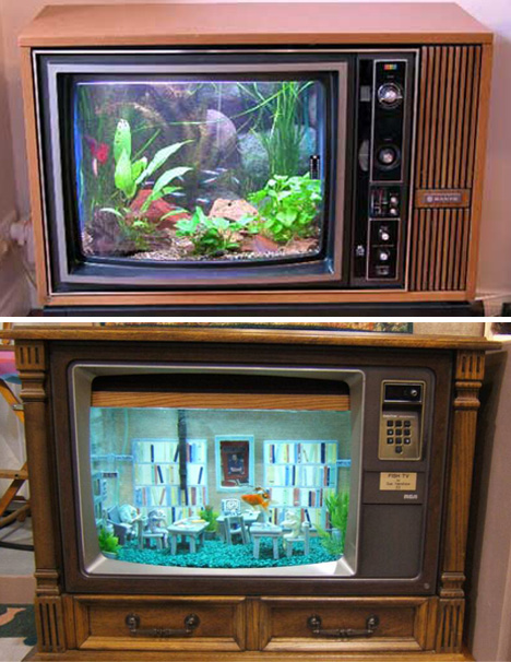 Funny Fish Tank Television Picture