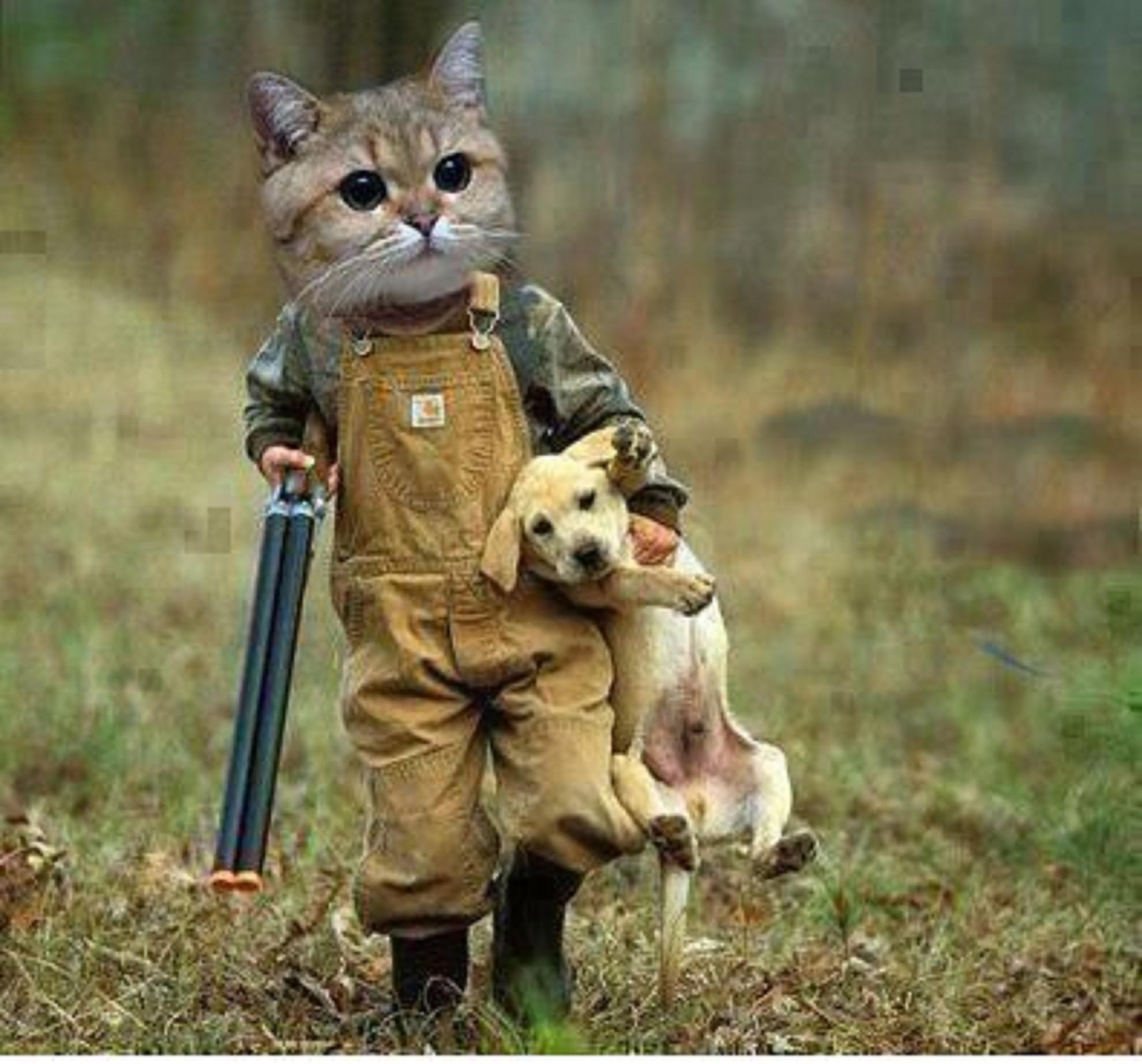Funny Hunter Cat carrying Dog With Gun