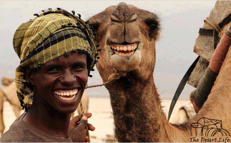 Funny Man Smiling With Camel
