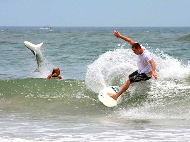 Funny Man Surfing Fail Picture