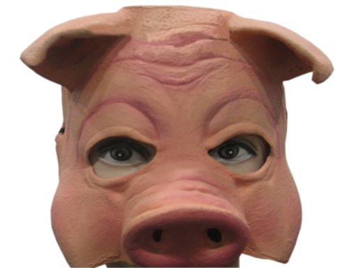 Funny Pig Face Mask Picture