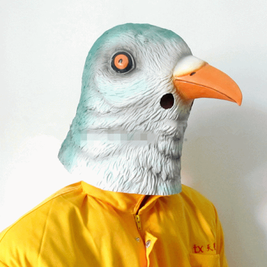 Funny Pigeon Mask Picture