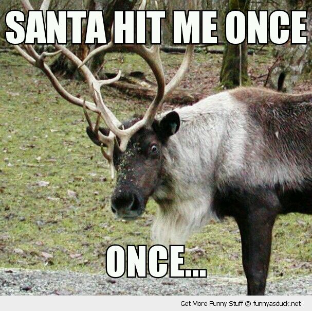 Funny Reindeer Say Santa Hit Me Once