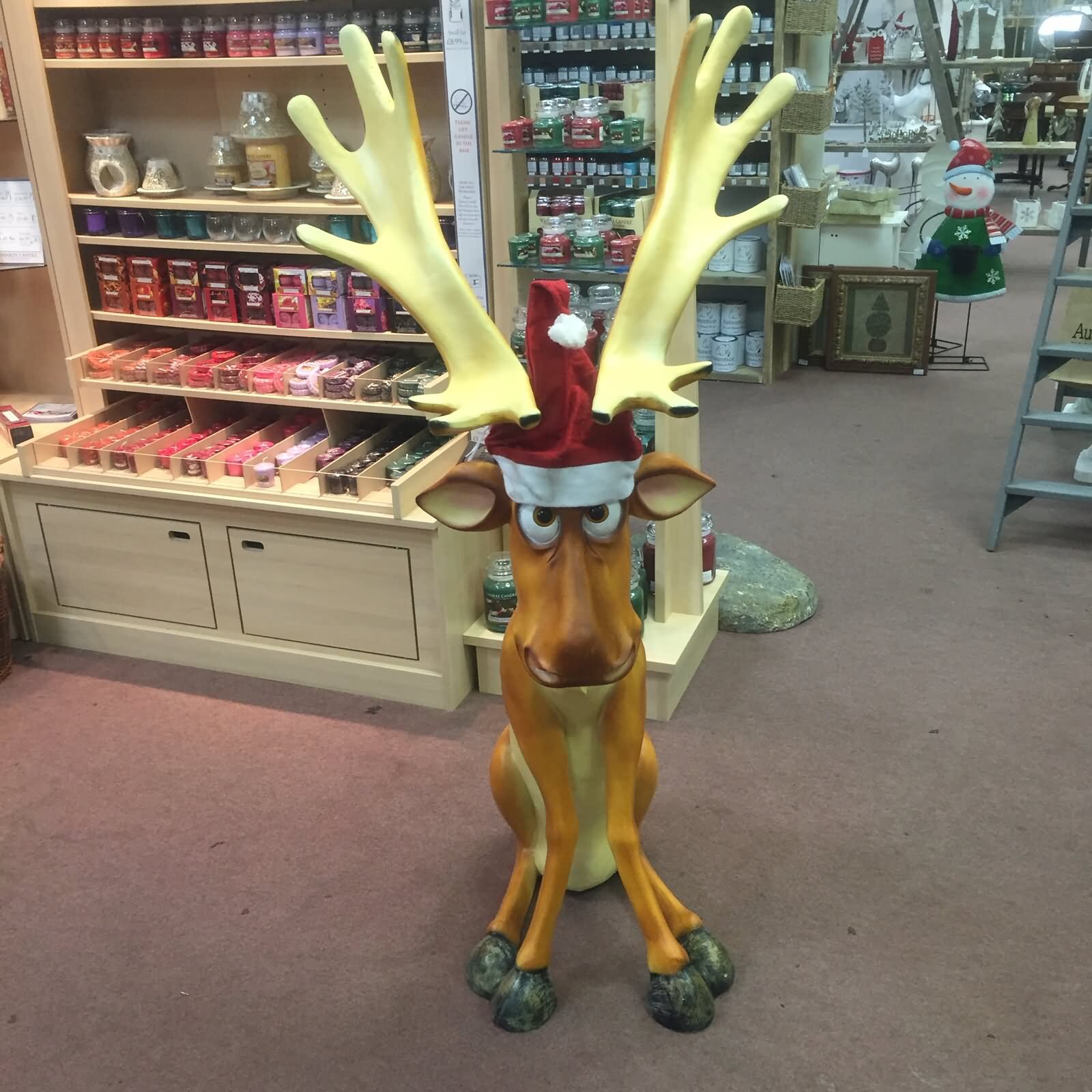 Funny Reindeer Shopping Picture
