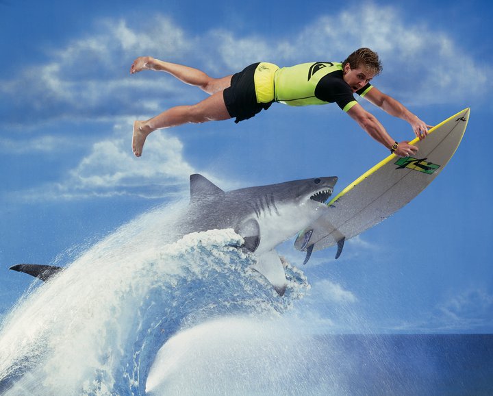 Funny Shark Fail Surfing Image