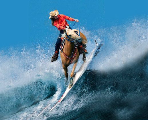 Funny Surfing With Horse