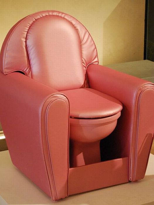 Funny Toilet Seat Image