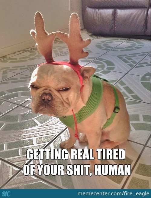 Getting Real Tried Of Your Shit Human Funny Reindeer Dog Image