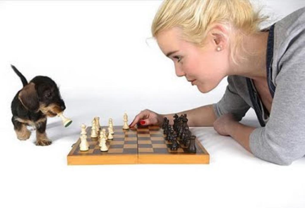 Girl Playing Chess With Puppy Funny Picture