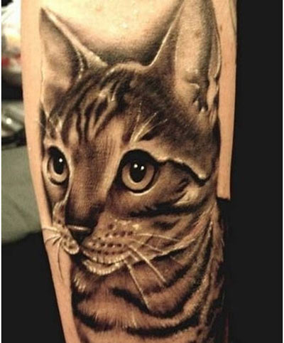 Grey Cat Tattoo On Full Sleeve