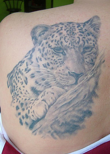 Grey Cheetah Tattoos On Left Back Shoulder