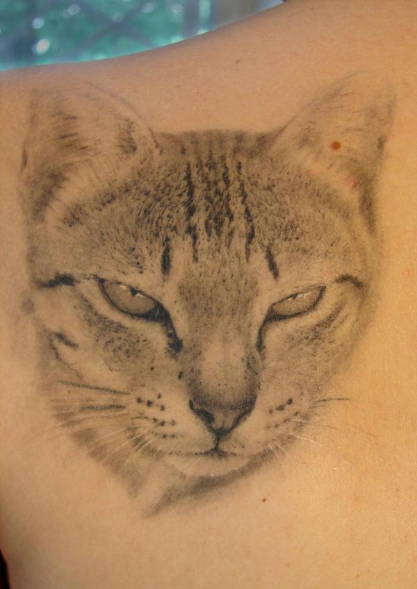 Grey Ink Cat Head Tattoo On Left Back Shoulder