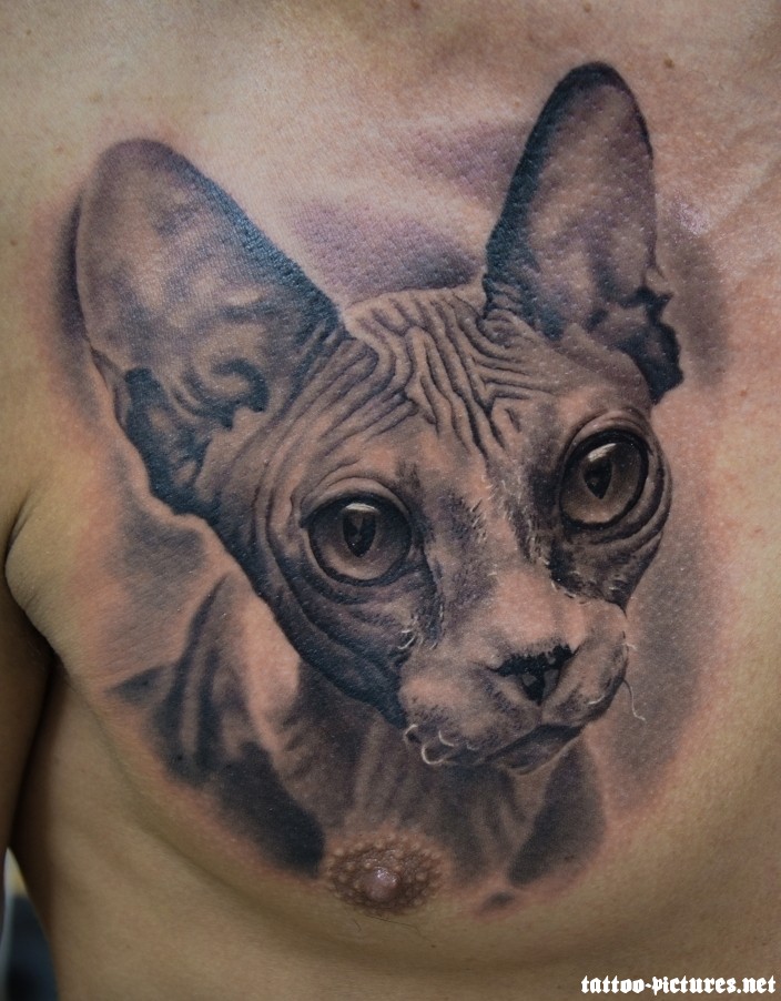 Grey Ink Cat Tattoo On Man Chest