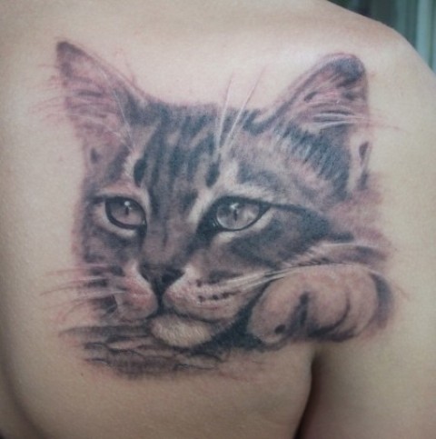 Grey Ink Cat Tattoo On Right Back Shoulder