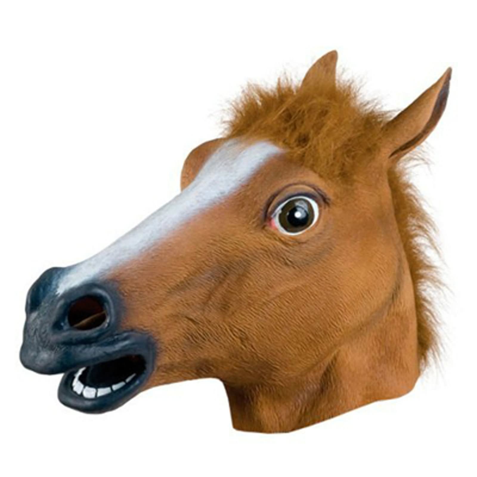 Horse Head Funny Mask Image