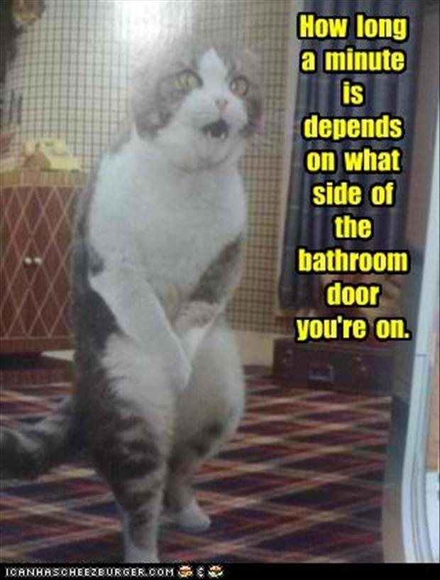 How Long A Minute Is Depends On What Side Of The Bathroom Door You Are On Funny Cat Pee Image