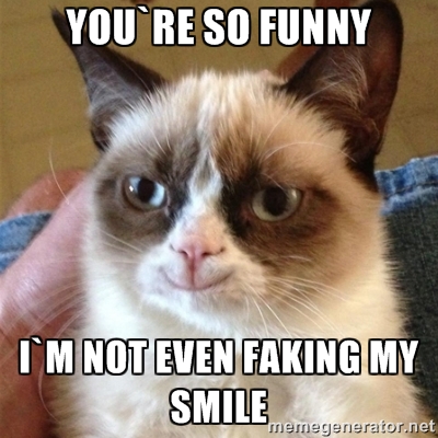 I Am Not Even Faking My Smile Funny Cat Meme Image