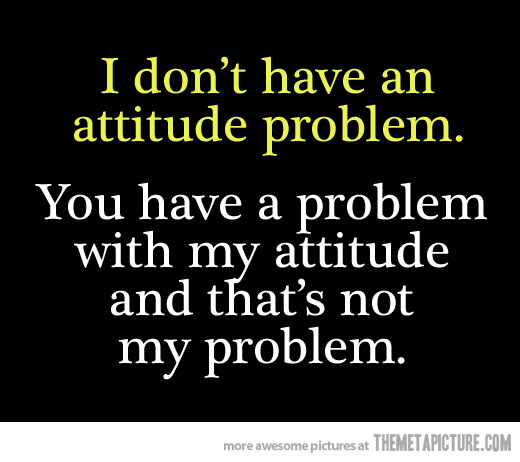 I Don't Have An Attitude Problem Funny Image