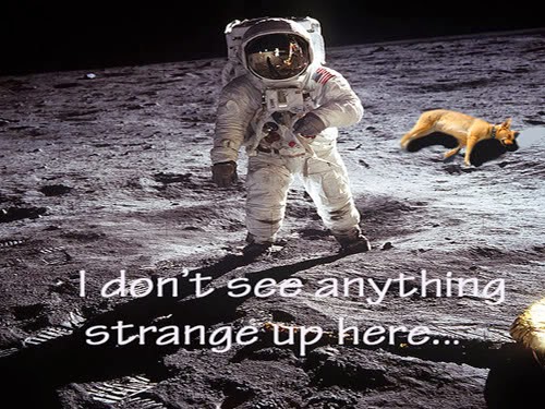 I Don't See Anything Strange Up Here Funny Astronaut On Moon