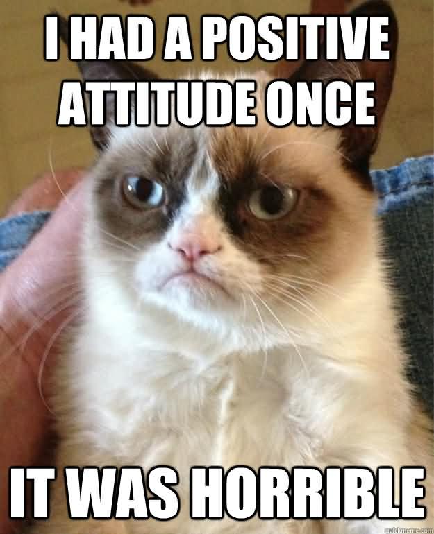 I Had A Positive Attitude Once Funny Cat Meme