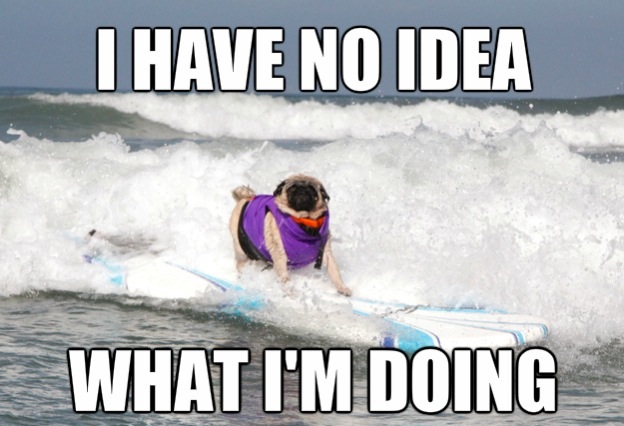 I Have No Idea What I Am Doing Funny Pug Dog Surfing Meme