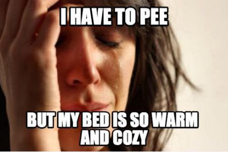 I Have To Pee But My Bed Is So Warm And Cozy Funny Meme Picture