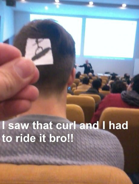 I Saw That Curl And I Had To Ride It Bro Funny Surfing Image