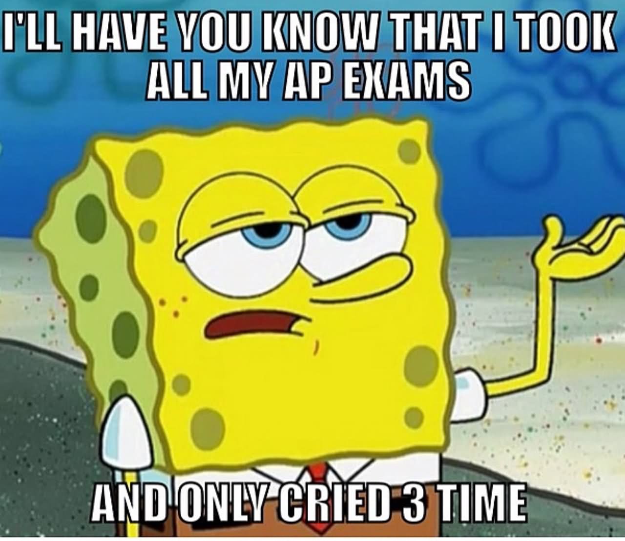 I Will Have You Know That I Took All My Ap Exams Funny Spongebob Comments