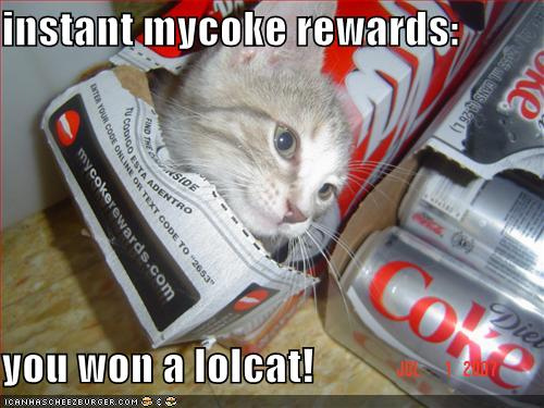 Instant Mycoke Rewards You Won A Lolcat Funny Picture