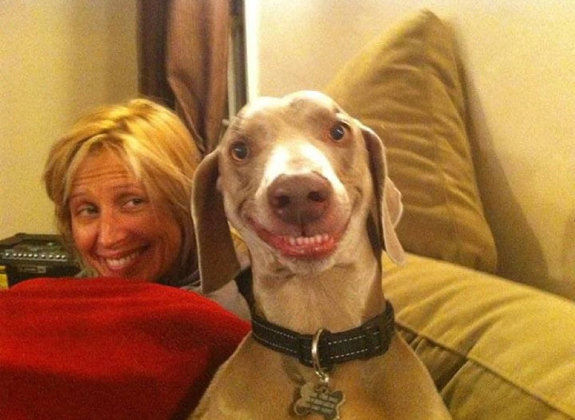 Lady And Dog Funny Smiling Picture