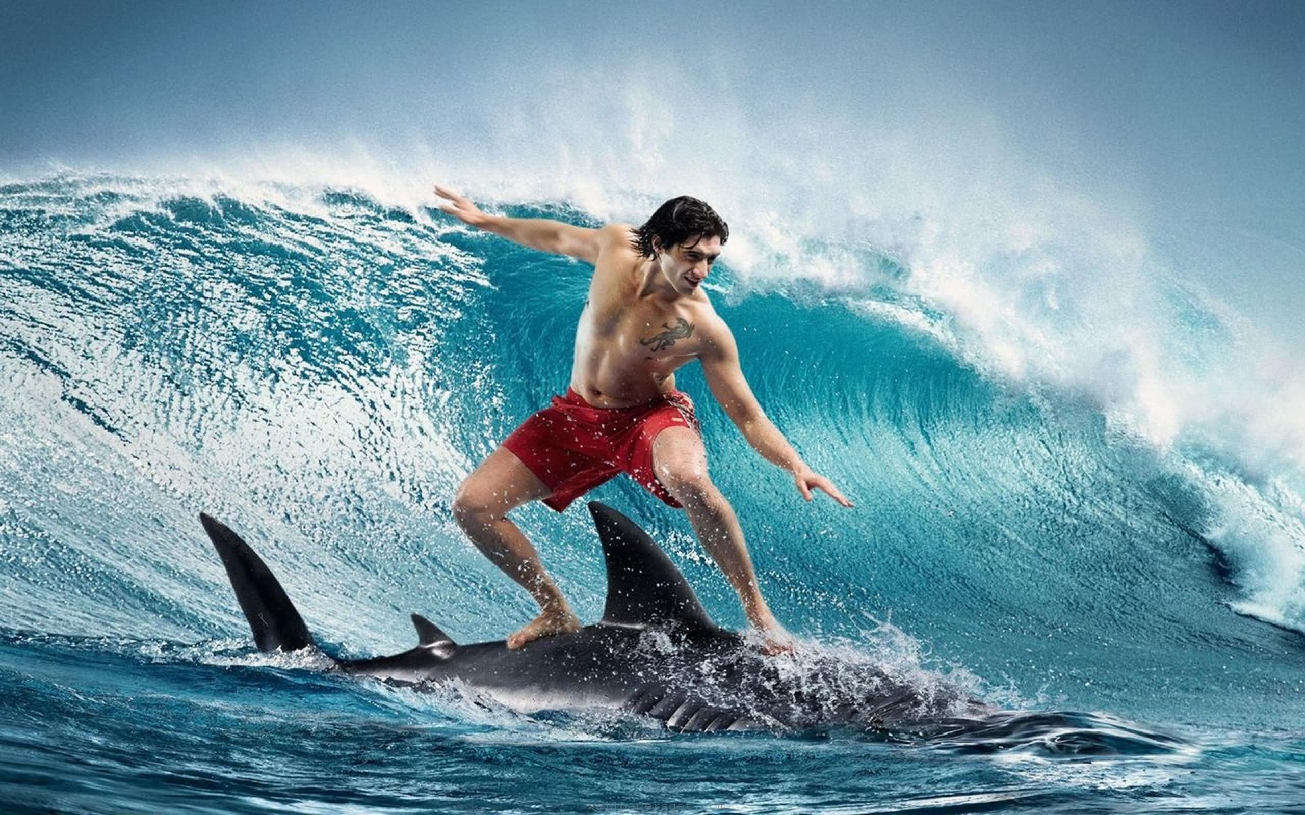 Man On Shark Fish Funny Surfing Image