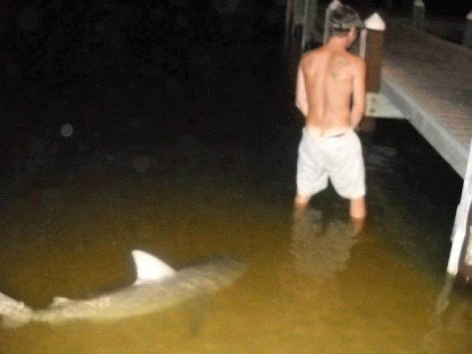 Man Peeing Shark Looking From Back Funny Picture