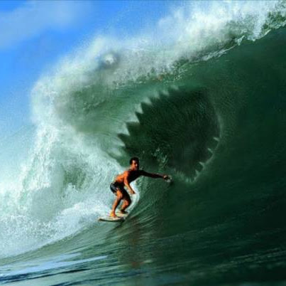 Man Surfing Funny Photoshopped Shark Face