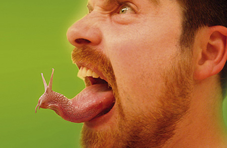 Man With Snail Tongue Funny Photoshopped Picture