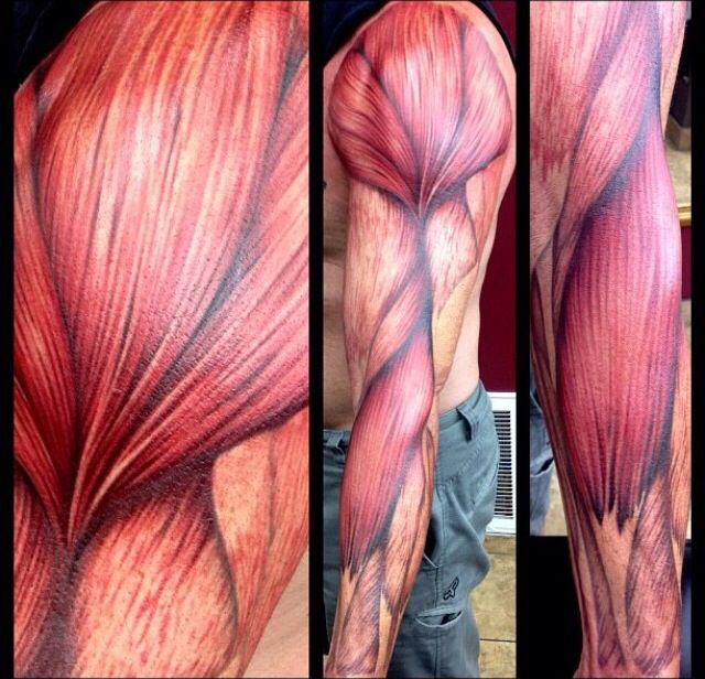 Muscle Tattoo On Man Left Full Sleeve