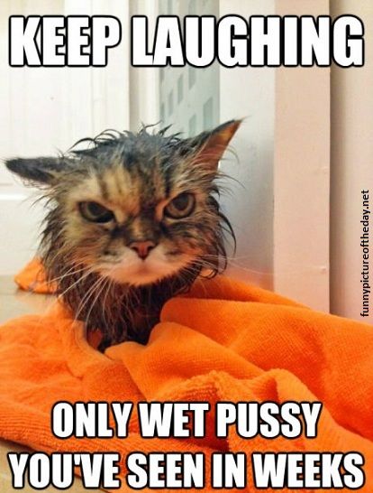 Only Wet Pussy You Have Seen In Weeks Funny Picture