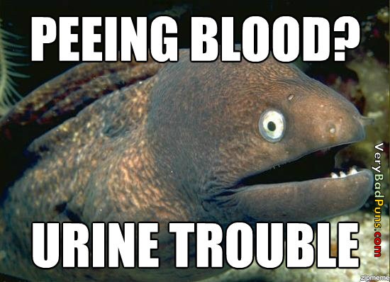 Peeing Blood Urine Trouble Funny Fish Picture