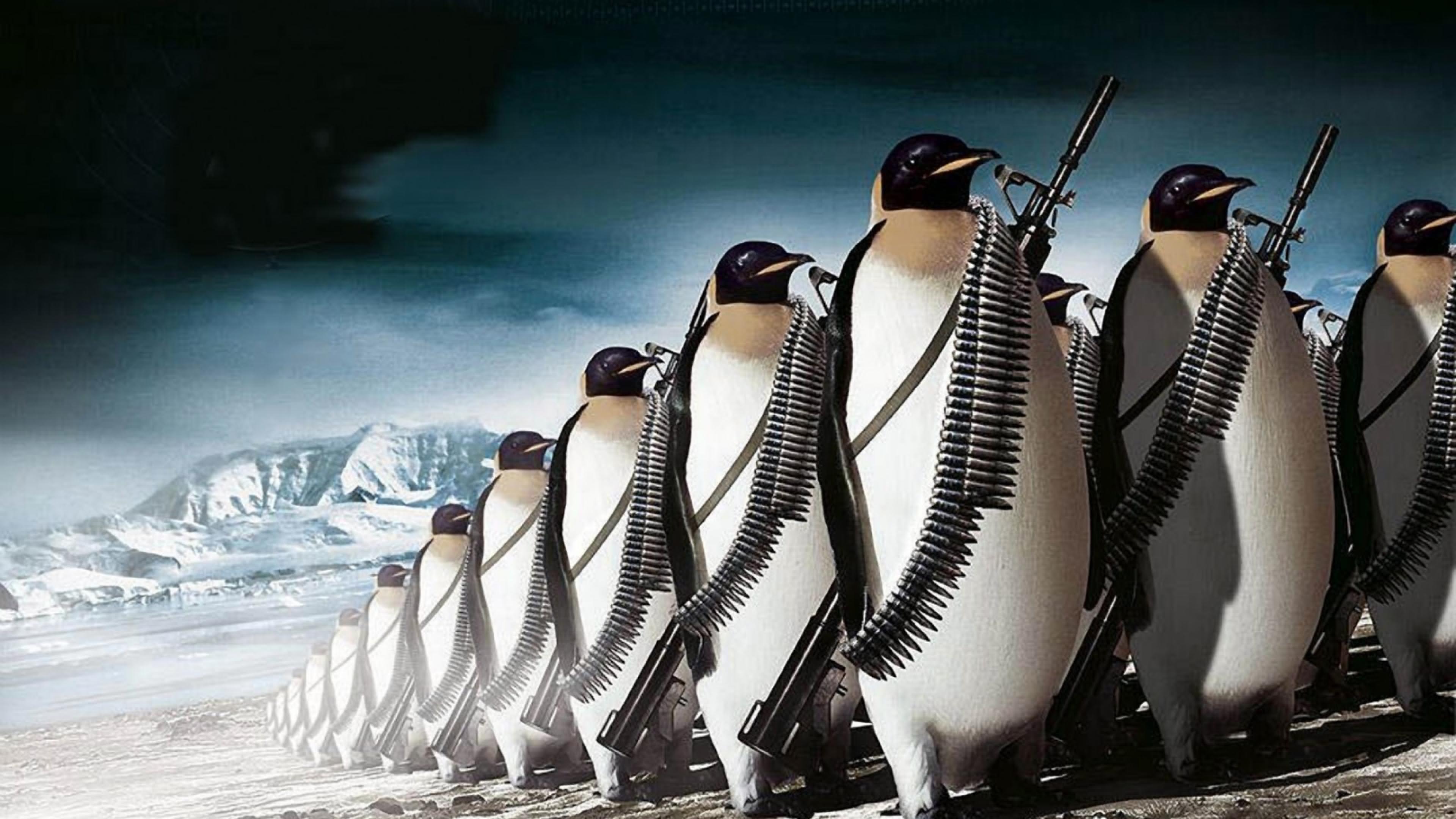 Penguins With Guns Funny Picture