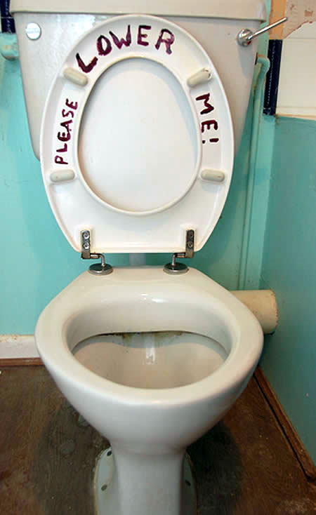 Please Lower Me Funny Toilet Image